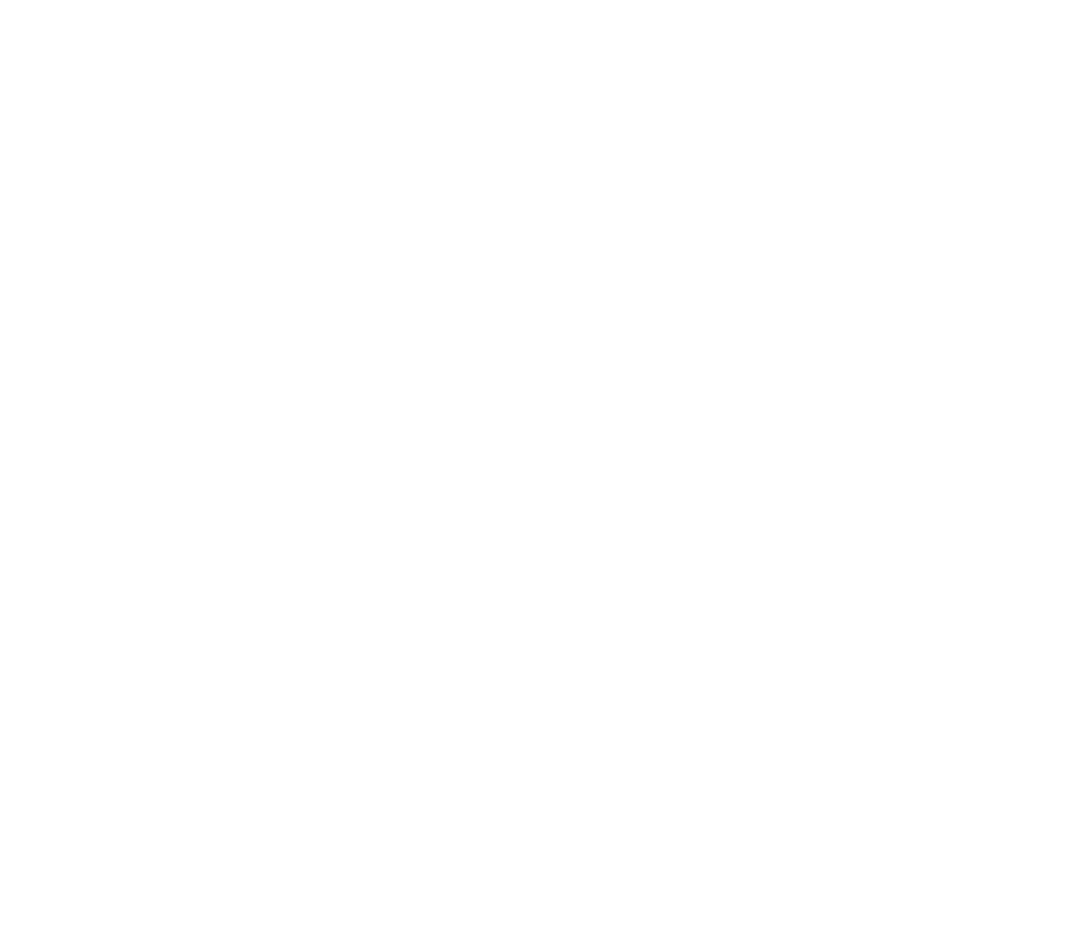 WSEI